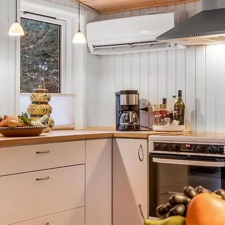 Peadda - 300m From The Sea By Interhome Holiday home Blokhus